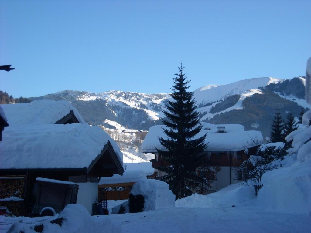 Appartement Haus Rieder Georg à Maria Alm Extérieur photo