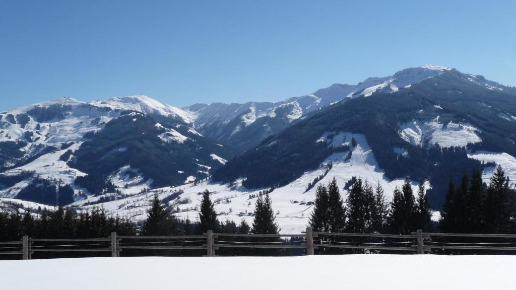 Appartement Haus Rieder Georg à Maria Alm Extérieur photo